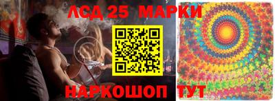 бошки Сланцы