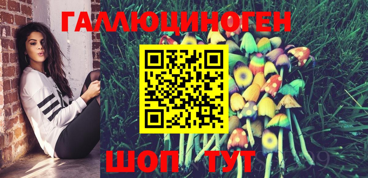 Псилоцибиновые грибы Psilocybine cubensis  Вход с VPN  Обнинск 